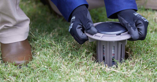 trelona bait stations