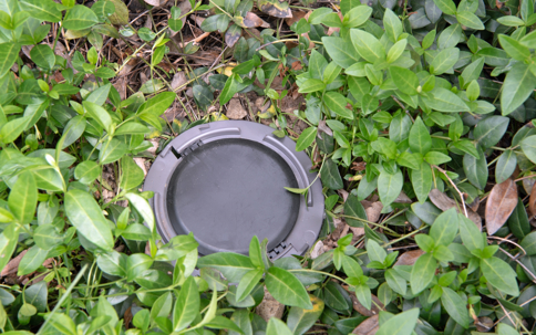 termite bait stations