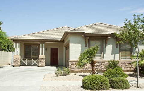 mesa az pest control